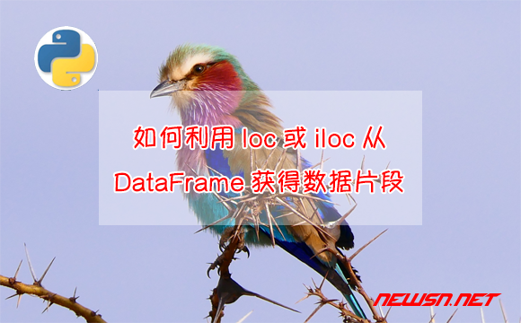 苏南大叔：Pandas库，如何利用loc或iloc从DataFrame获取或设置数据？ - 获得dataframe数据片段