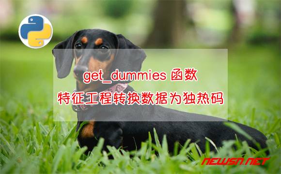 苏南大叔：get_dummies函数，特征工程转换DataFrame数据为独热码 - 特征工程转化
