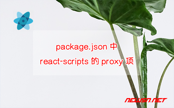 苏南大叔：如何理解package.json中由react-scripts提供的proxy代理项？ - react-scripts-proxy