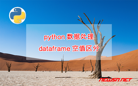 苏南大叔：python数据清洗，如何对dataframe数据进行isnull空值区分？ - dataframe空值区分