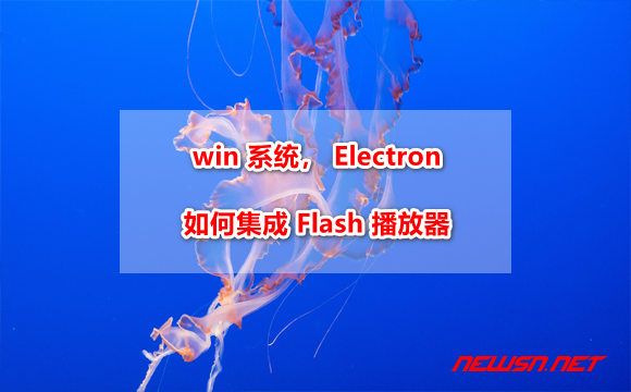 苏南大叔：win 系统，如何在 Electron 上集成 Flash 播放器？ - electron-flash-win10